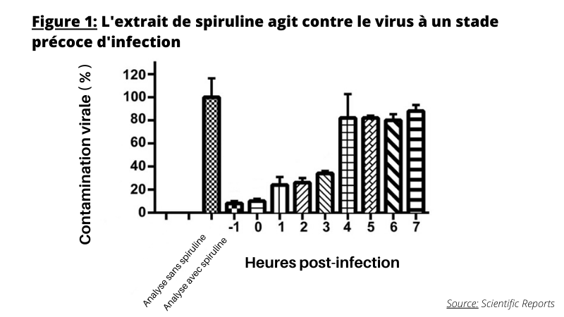 Spiruline contre infections virales