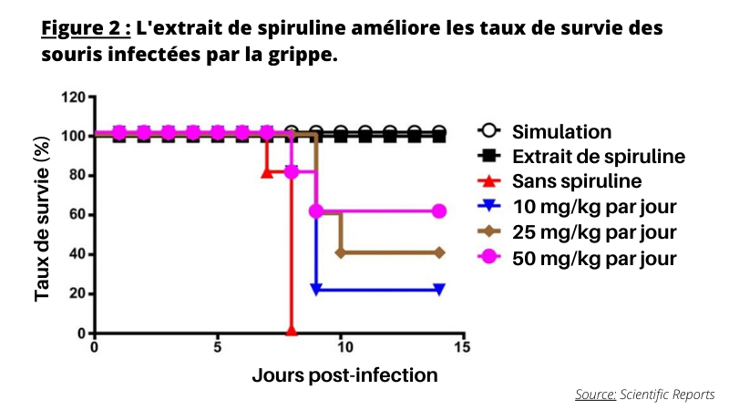 Spiruline reduit mortalit virus