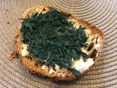 Tartine Spiruline